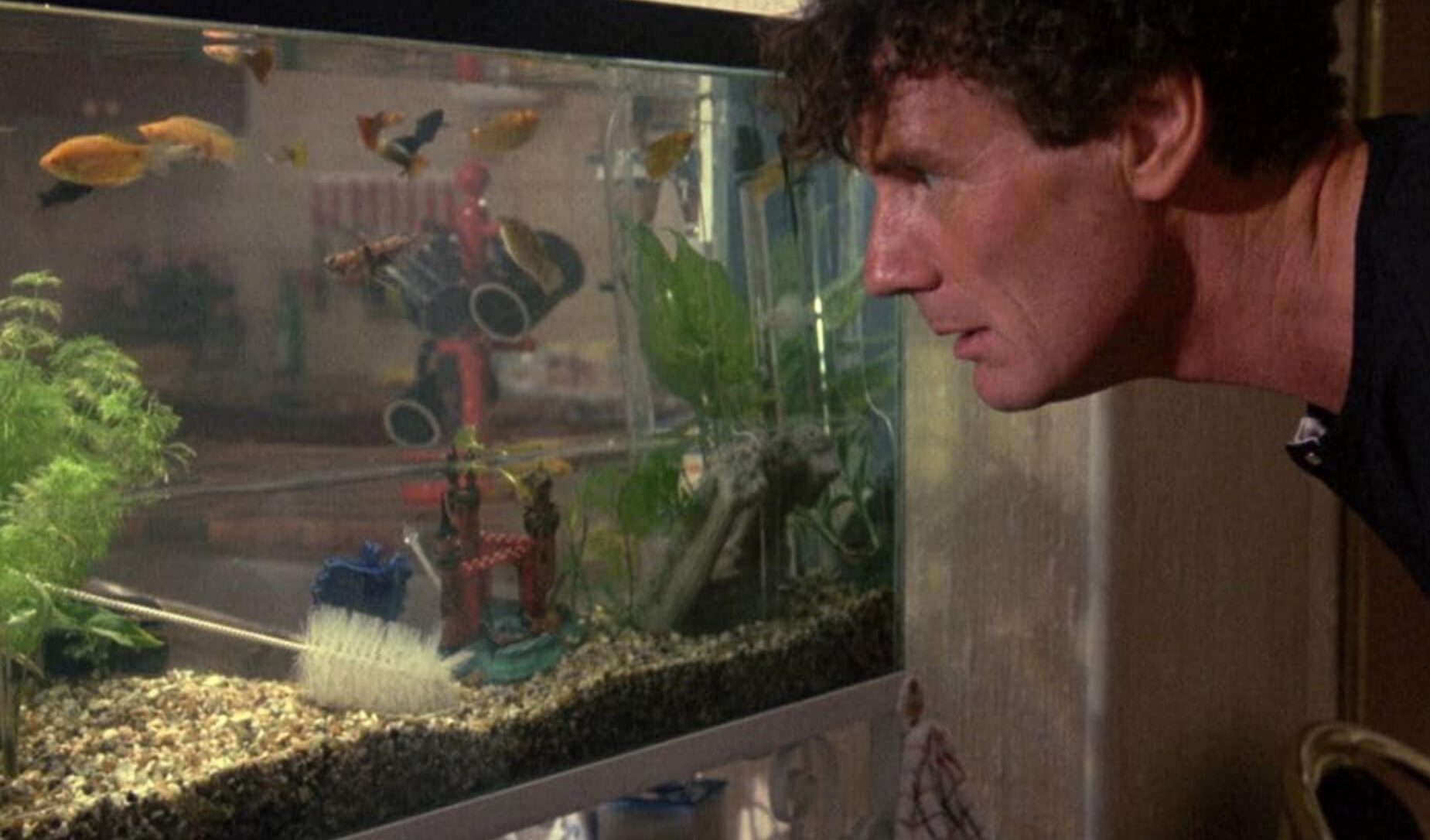 As 20 melhores comédias que marcaram o gênero