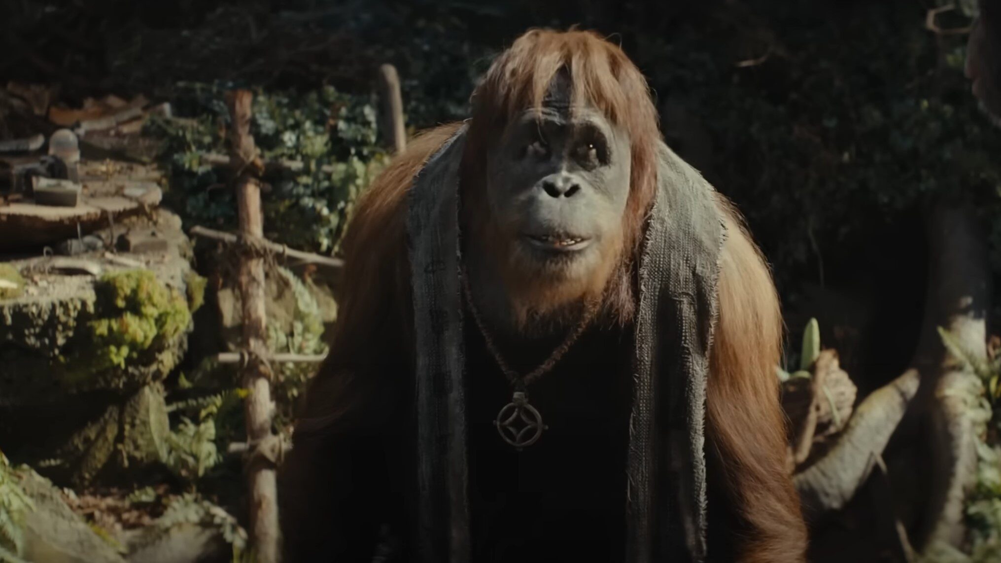 cineserie.com.br cineserie.com.br