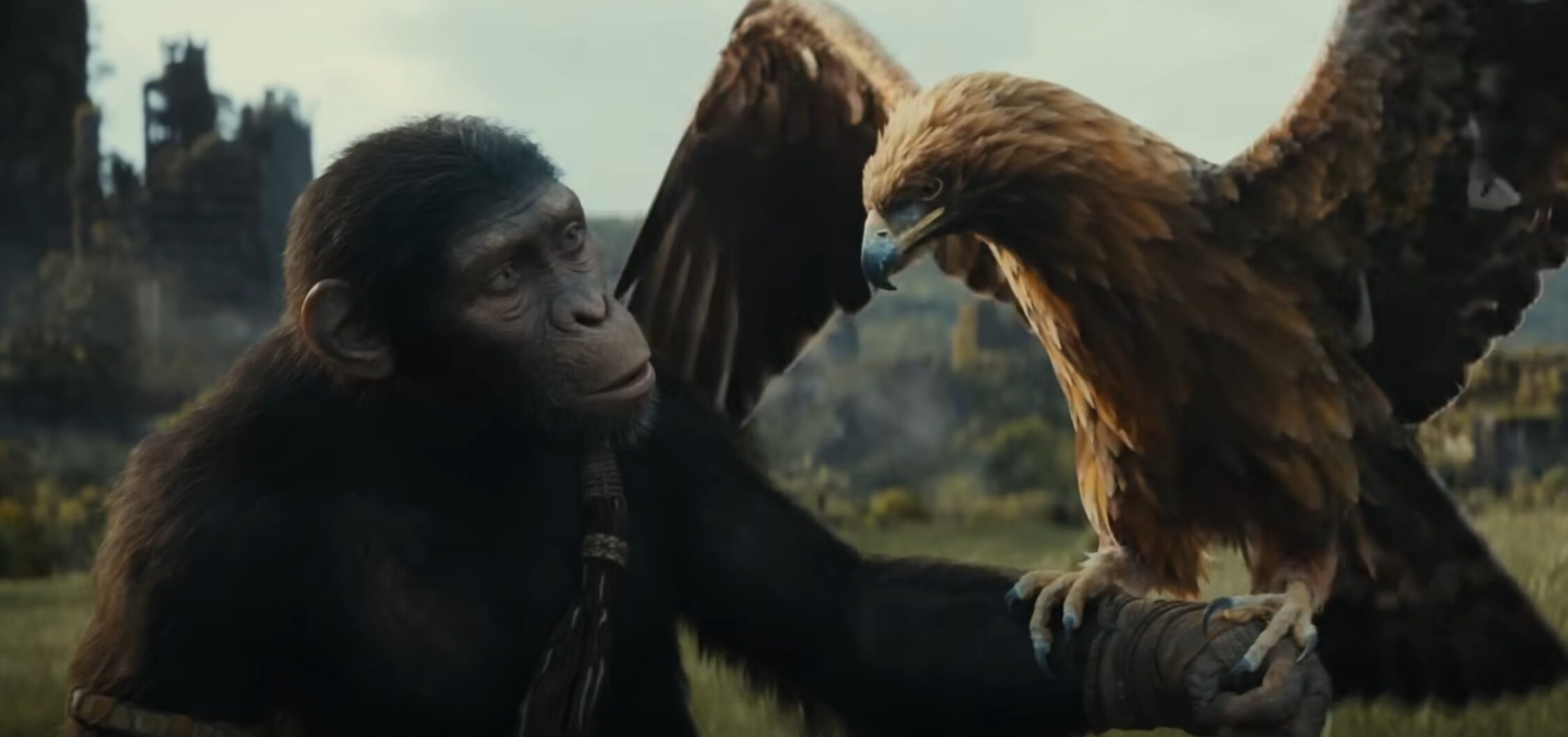 Planeta dos Macacos: O Reinado ganha primeiro teaser e imagens promocionais