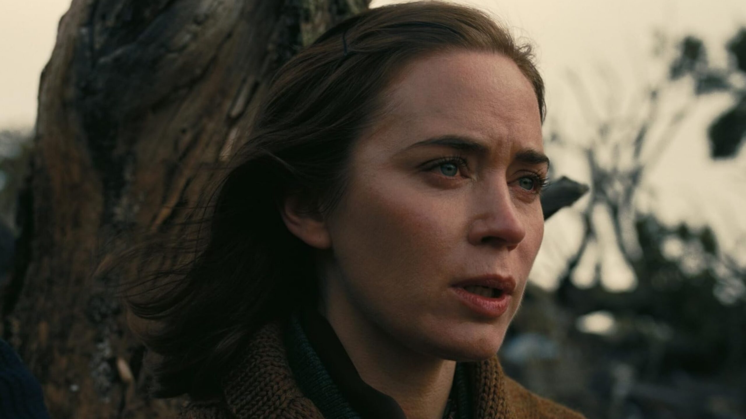 cineserie.com.br cineserie.com.br