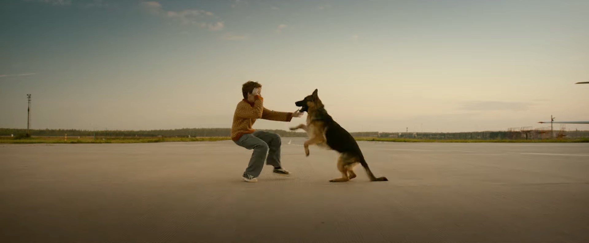 É de chorar: 10 filmes de cachorros que vão te emocionar