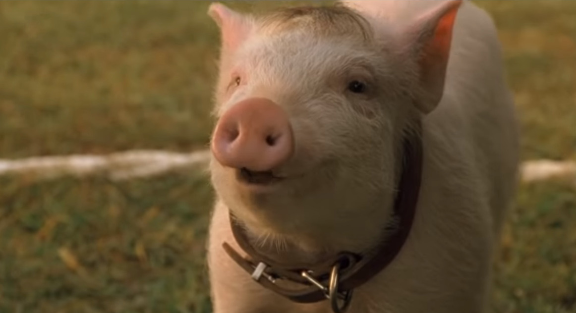 cineserie.com.br cineserie.com.br