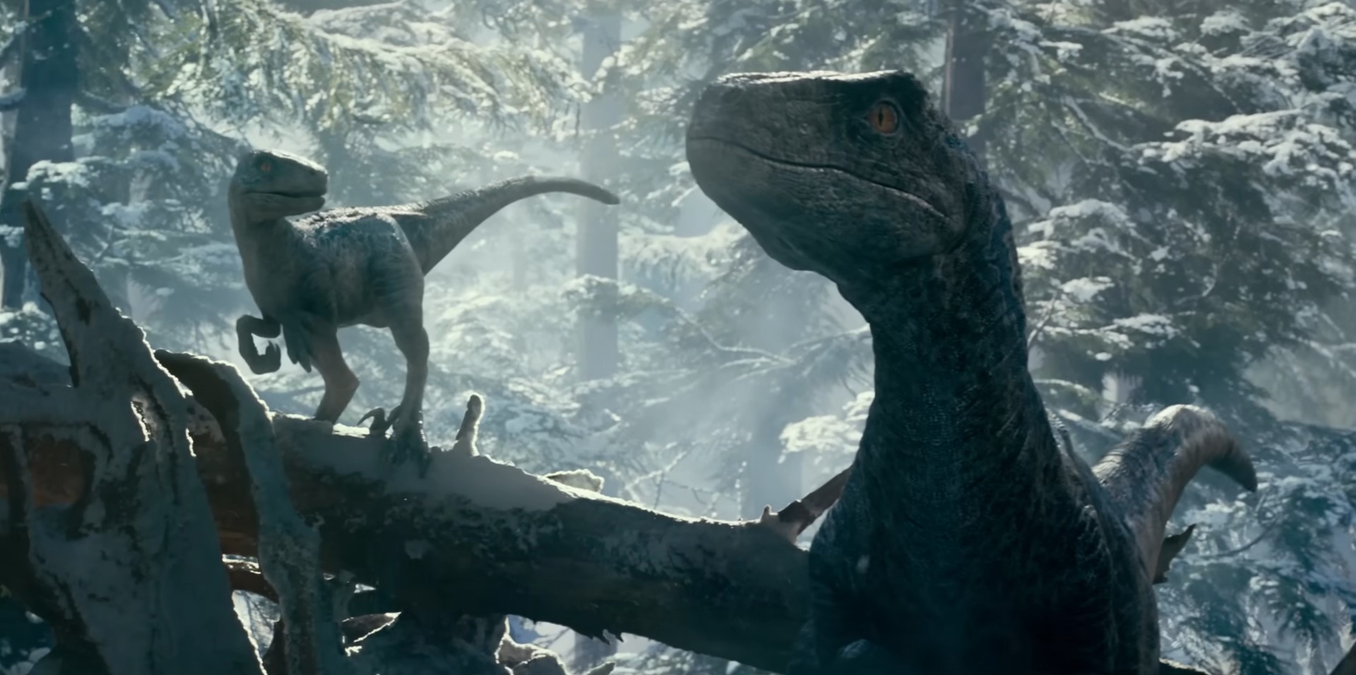 Jurassic World: novo filme já tem data de lançamento