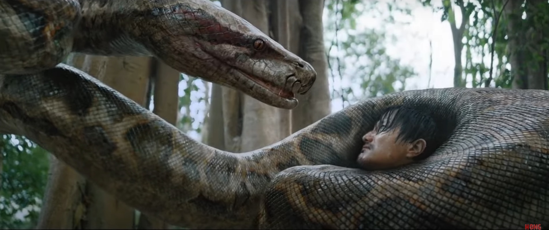 Anaconda: o trailer espetacular/bizarro do remake chinês