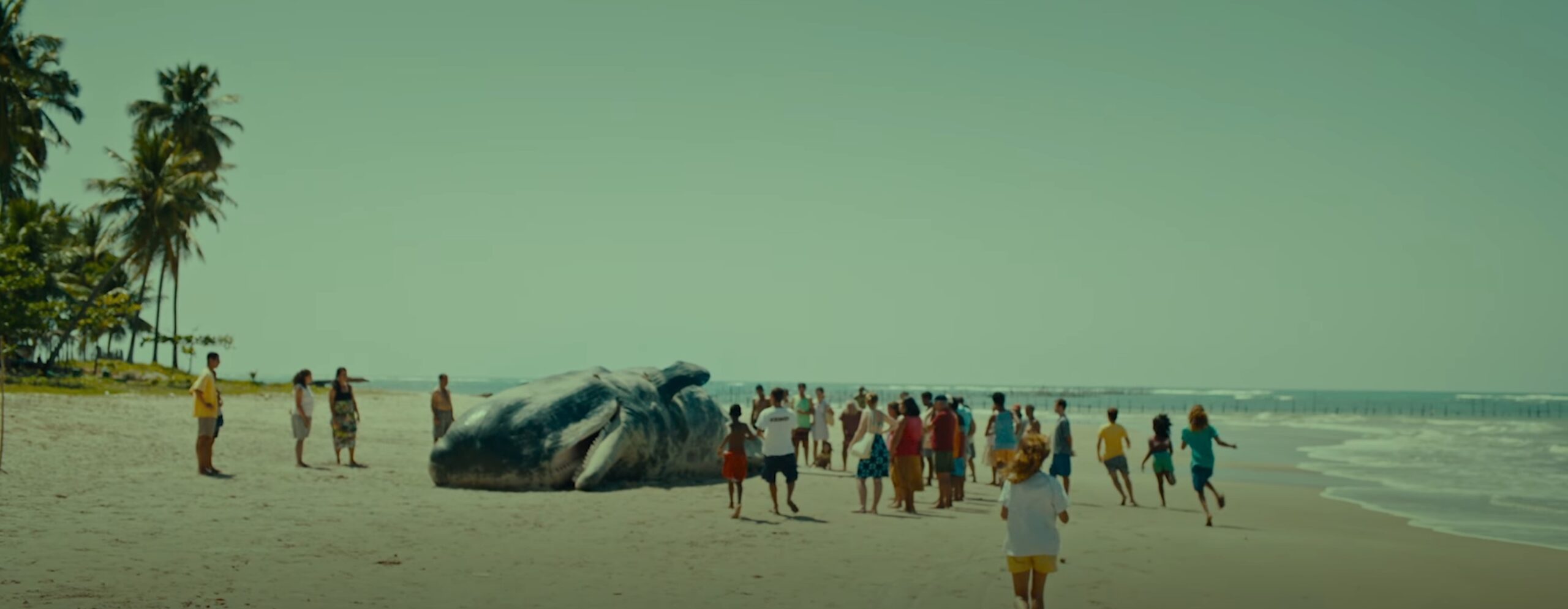 Sem Coração: aguardado longa de Nara Normande e Tião tem imagens inéditas em trailer