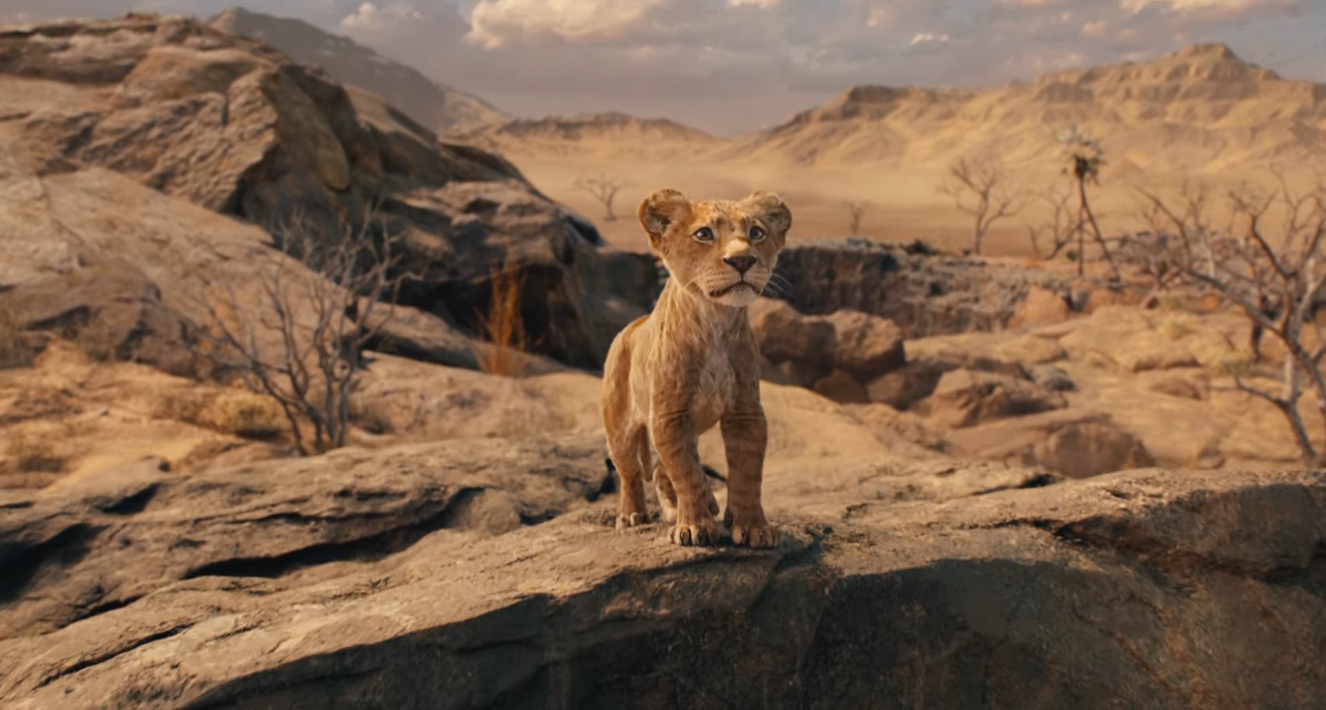 "A terra vai tremer", revela trailer de Mufasa: O Rei Leão