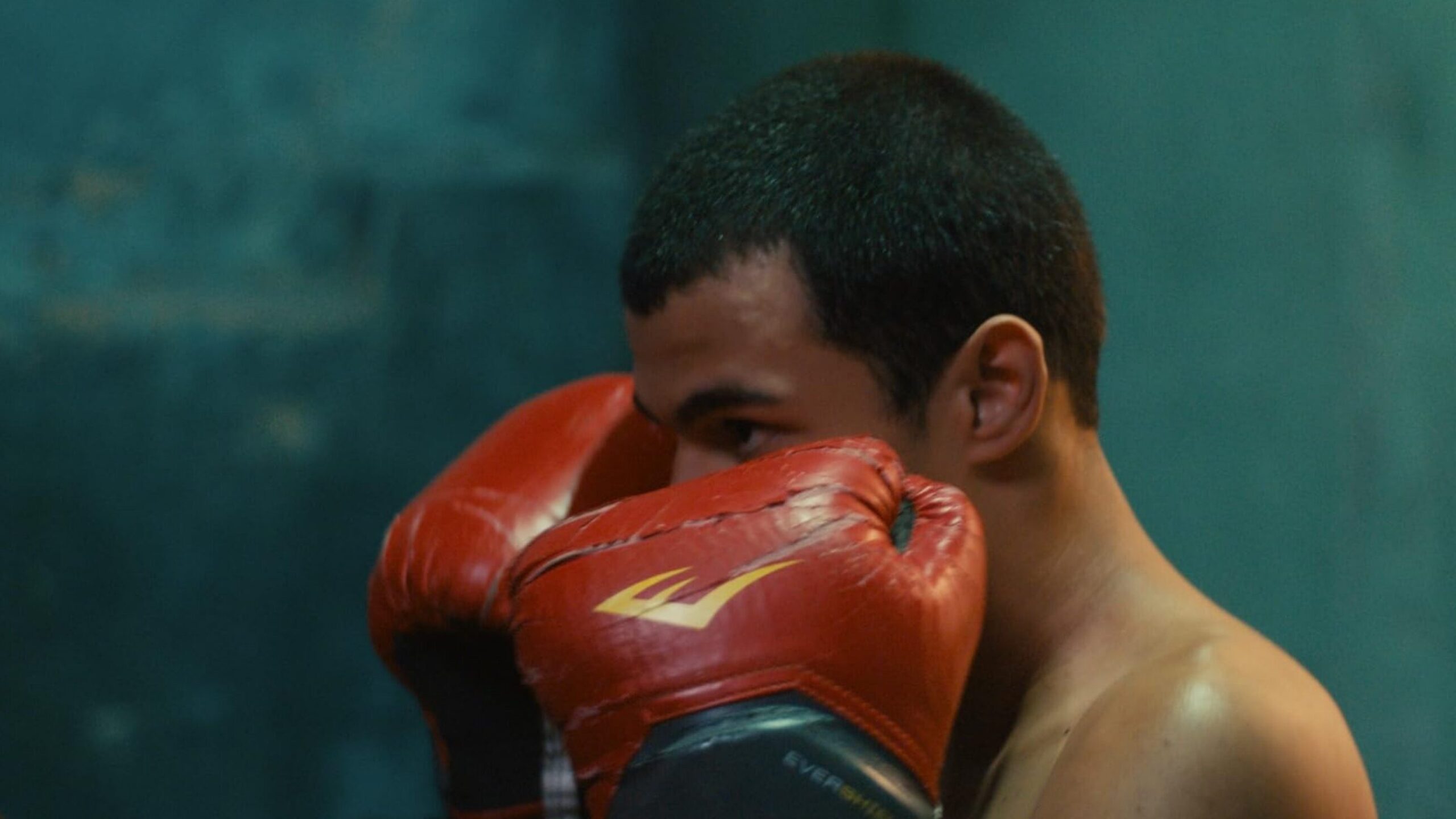 cineserie.com.br cineserie.com.br