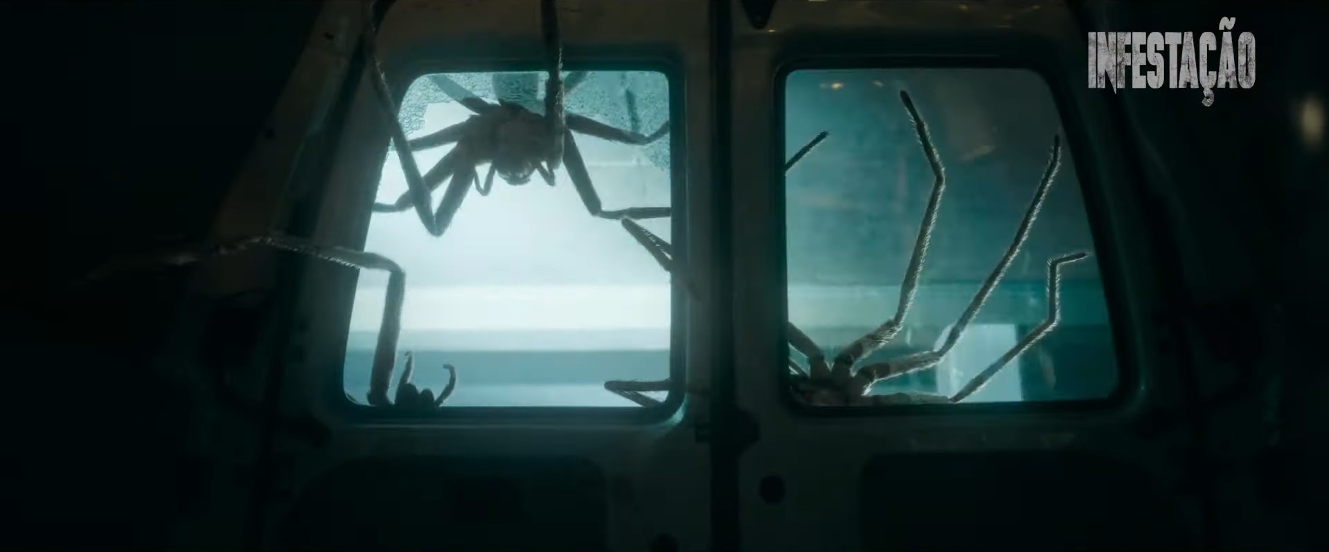 Infestação: trailer revela filme não indicado para quem tem fobia de aranhas