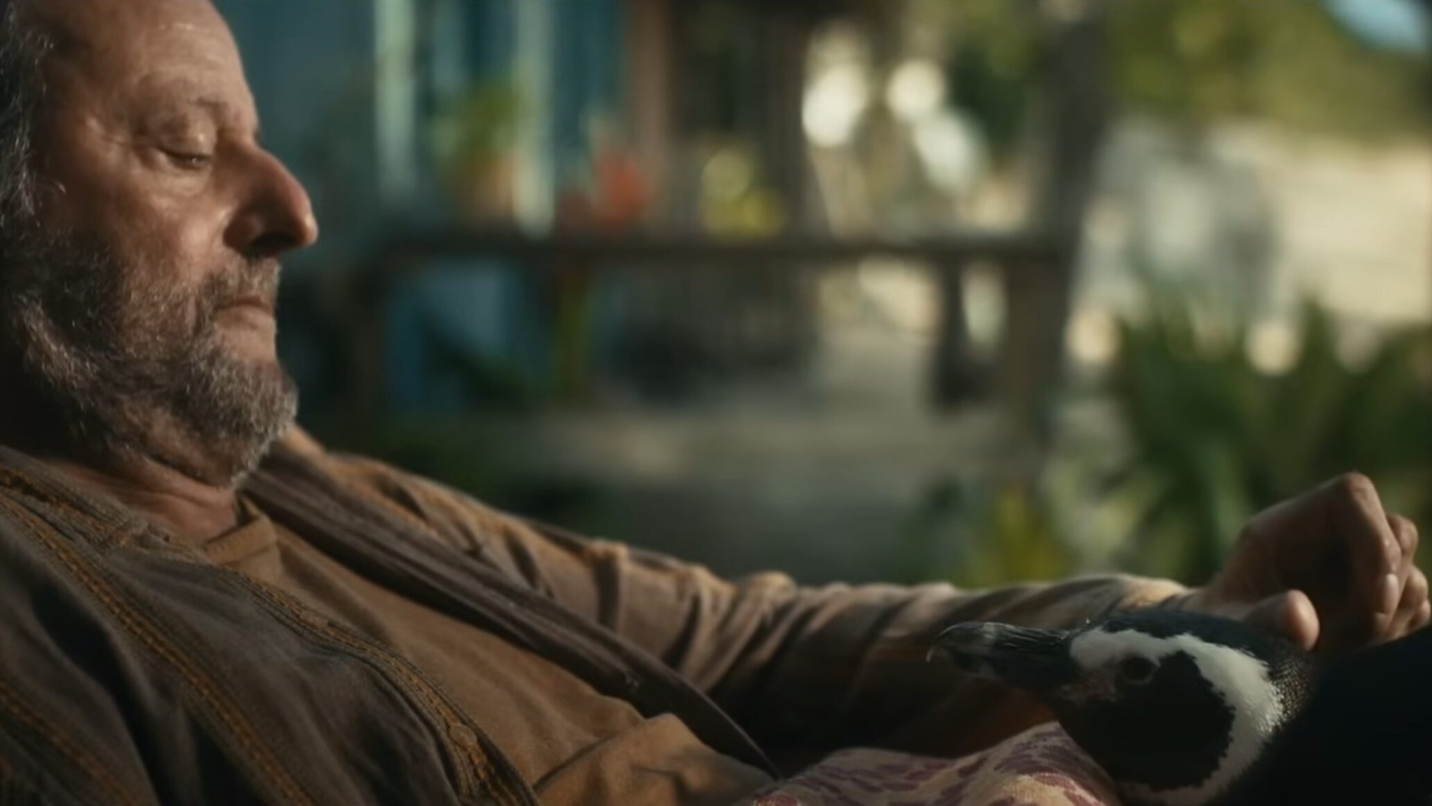 cineserie.com.br cineserie.com.br