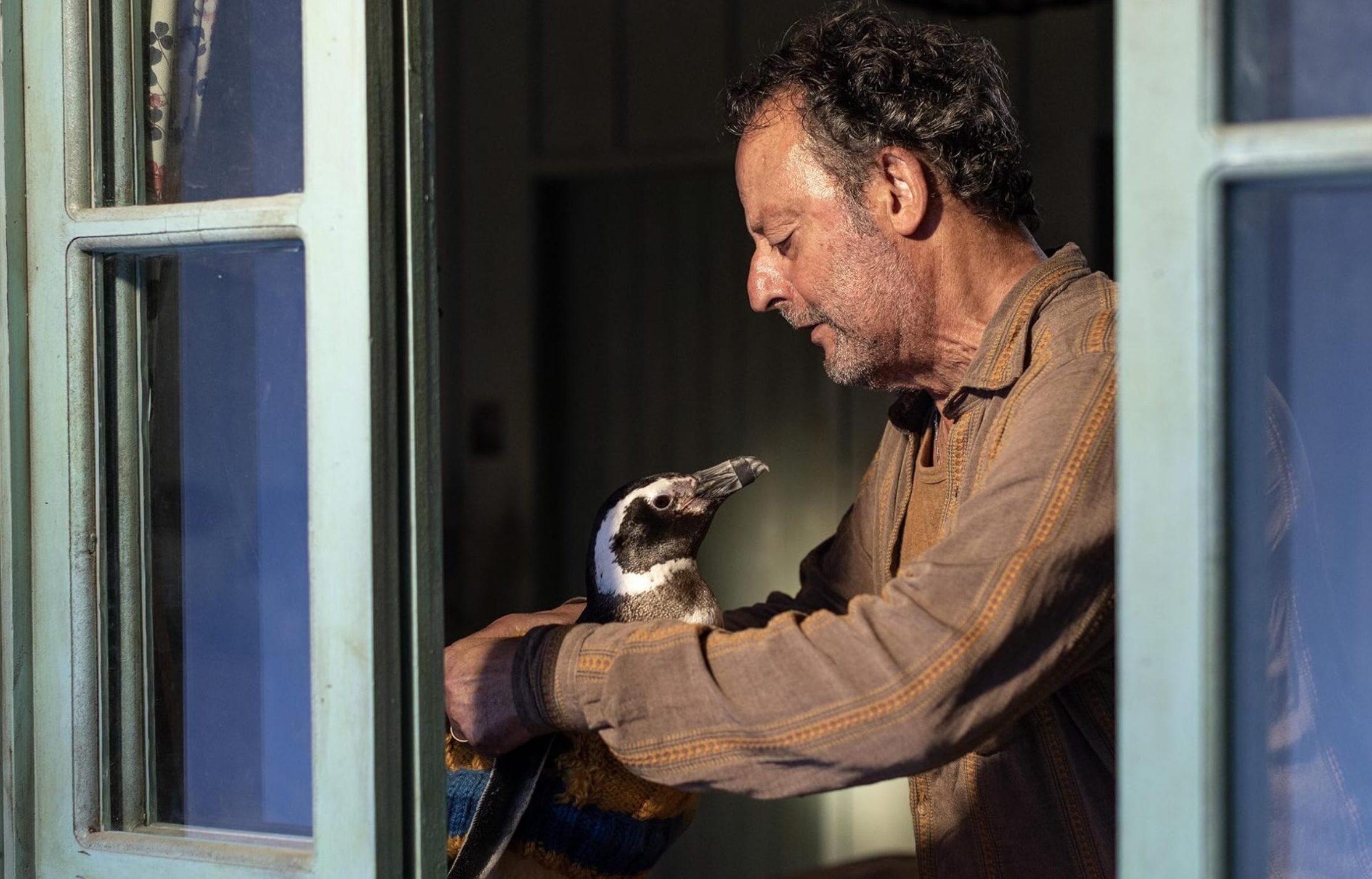 A história de João e do pinguim Dindim vira filme com 'Meu Amigo Pinguim'; veja o trailer inédito