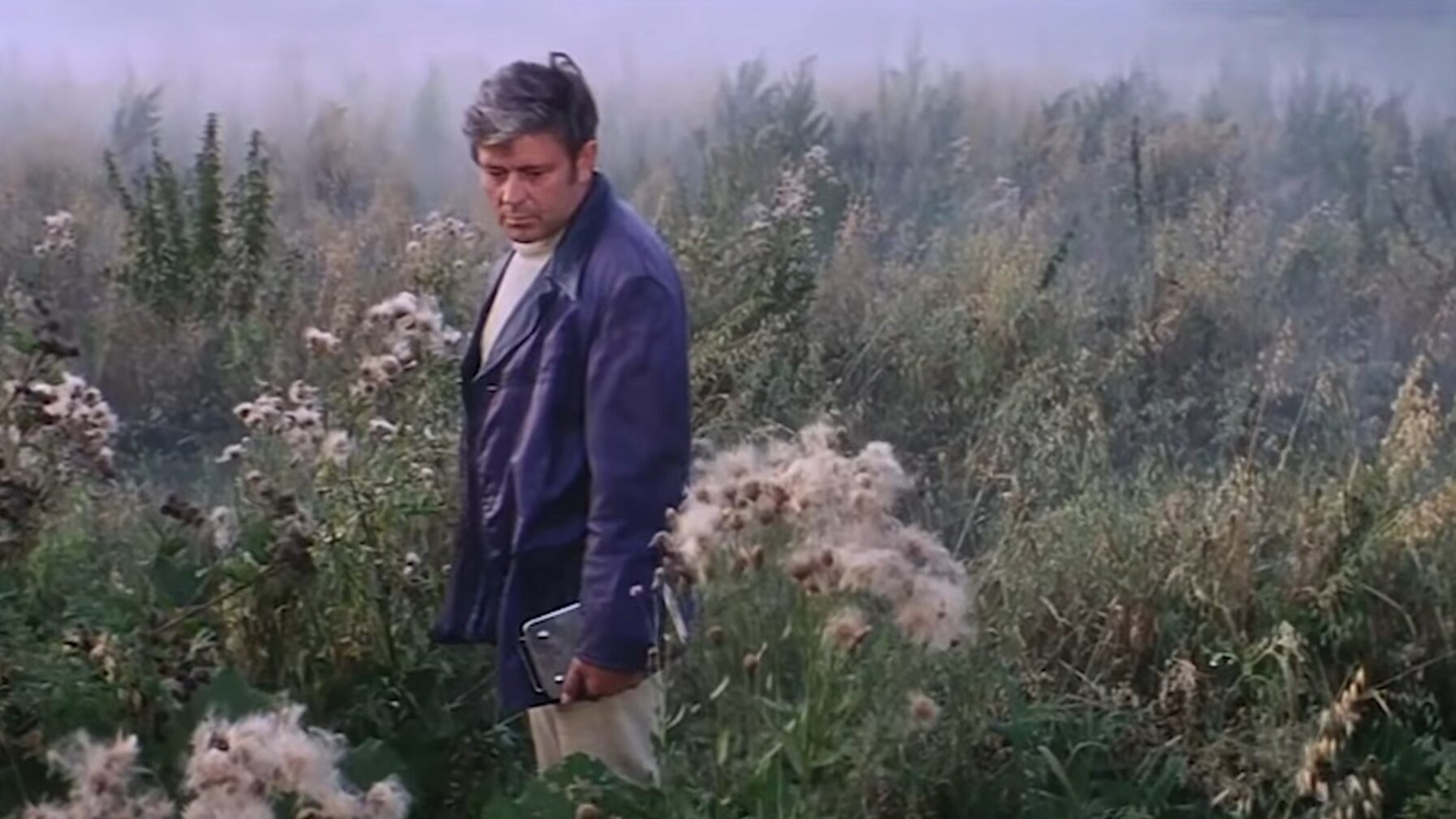 cineserie.com.br cineserie.com.br