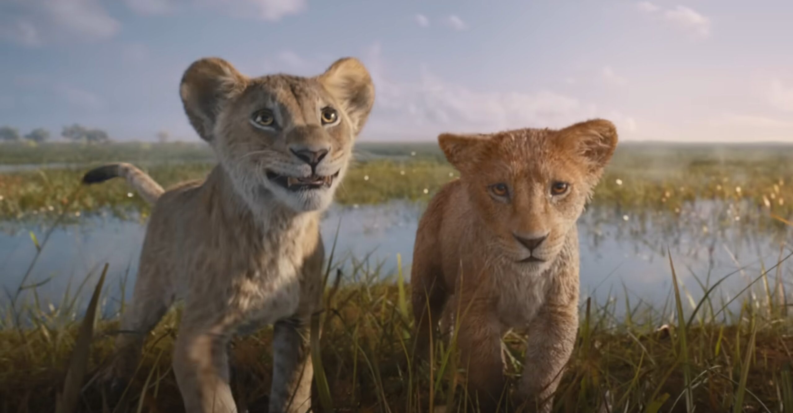 Trailer de 'Mufasa: O Rei Leão' mostra outro lado da relação entre Scar e Mufasa, assista